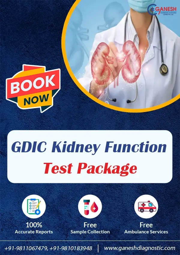 GDIC Kidney Function Test Package